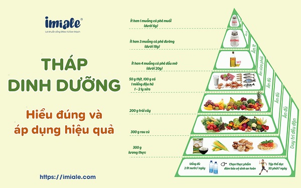 Tháp dinh dưỡng: Cách hiểu đúng và áp dụng hiệu quả