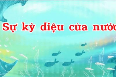 Bài giảng điện tử: KPKH ” Sự kỳ diệu của nước”