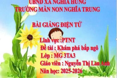 Bài gảng điện tử: Khám phá bắp ngô